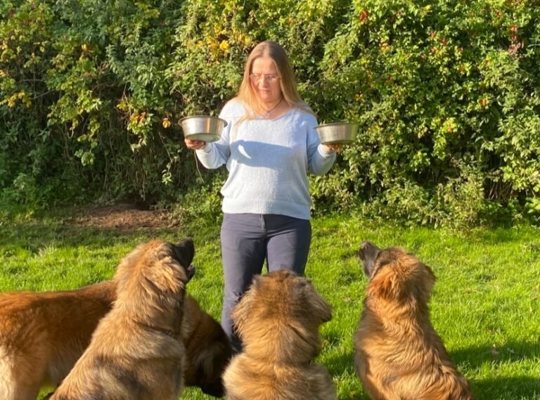 hunde og en opdrætter - hundefoder