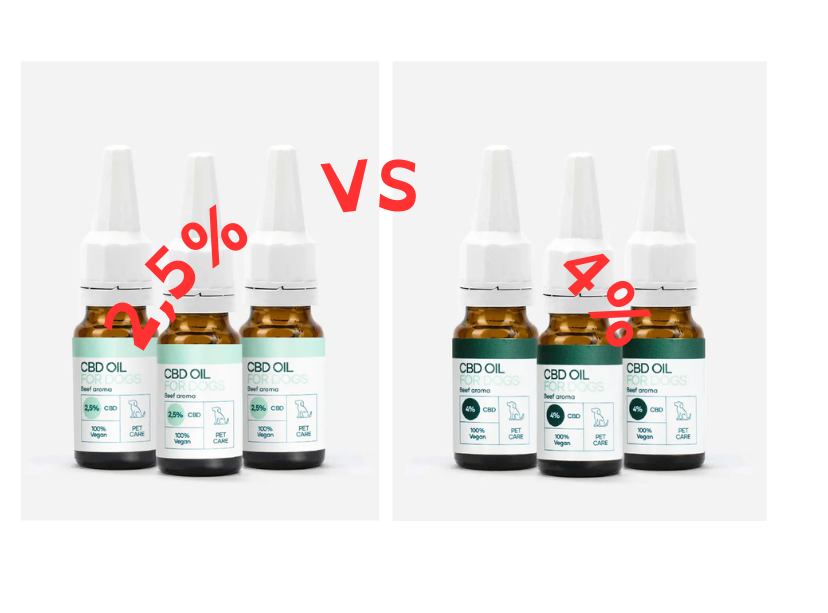CBD olie til hunde med allergi kan lindre kløe og støtte immunforsvaret