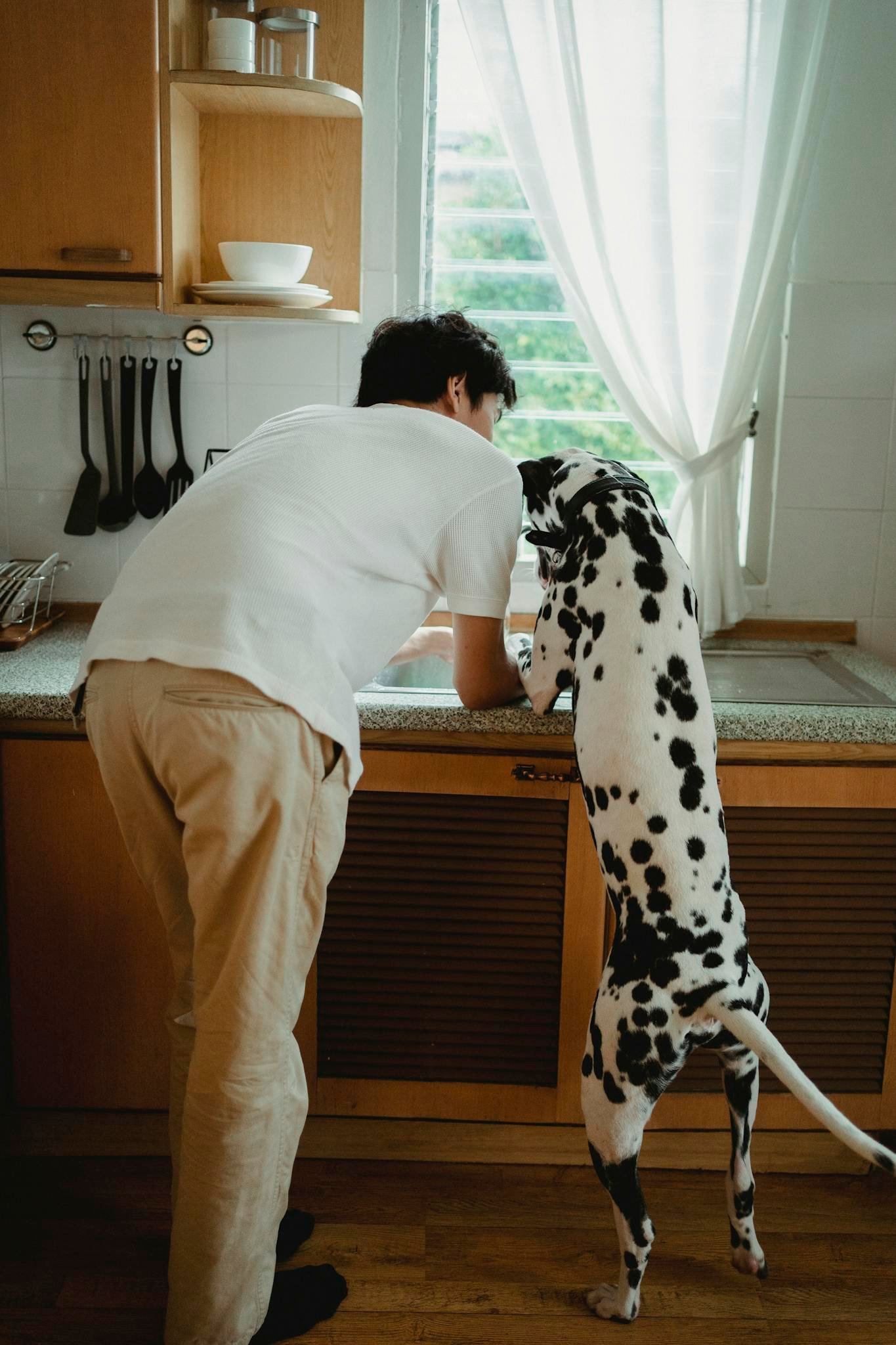 a man and his dalmatian share a