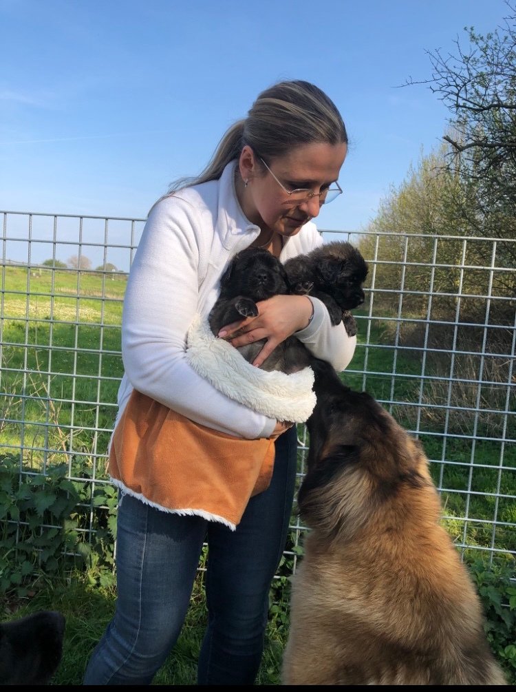 Kennelmor's anbefalinger hvad har man brug for til hund - hundeforsikring
