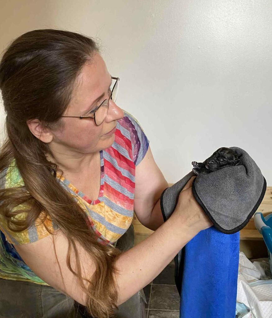 DE KRITISKE DØGN™ – første døgn med hvalpe første døgn med hvalpe – ro og overblik