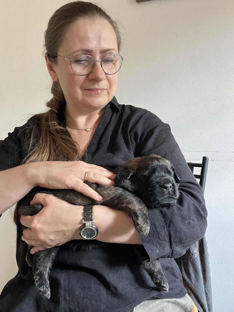 Paprikas hvalpe - Uge #4 Paprikas hvalpe uge 4