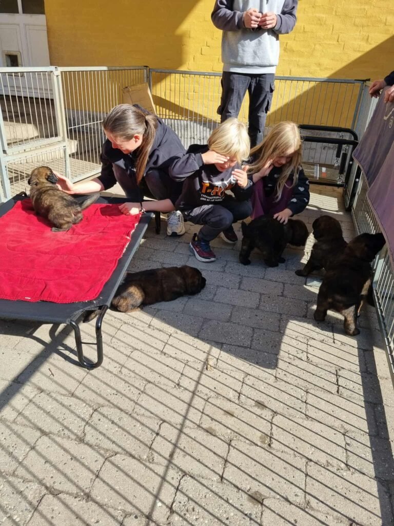 Paprikas hvalpe - Uge #5 svg%3E