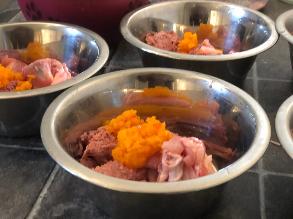 Kvalitetsopdræt af Leonbergere – sådan sikrer vi sunde og trygge hvalpe kvalitetsopdræt af LEONBERGERE - BARF for de små