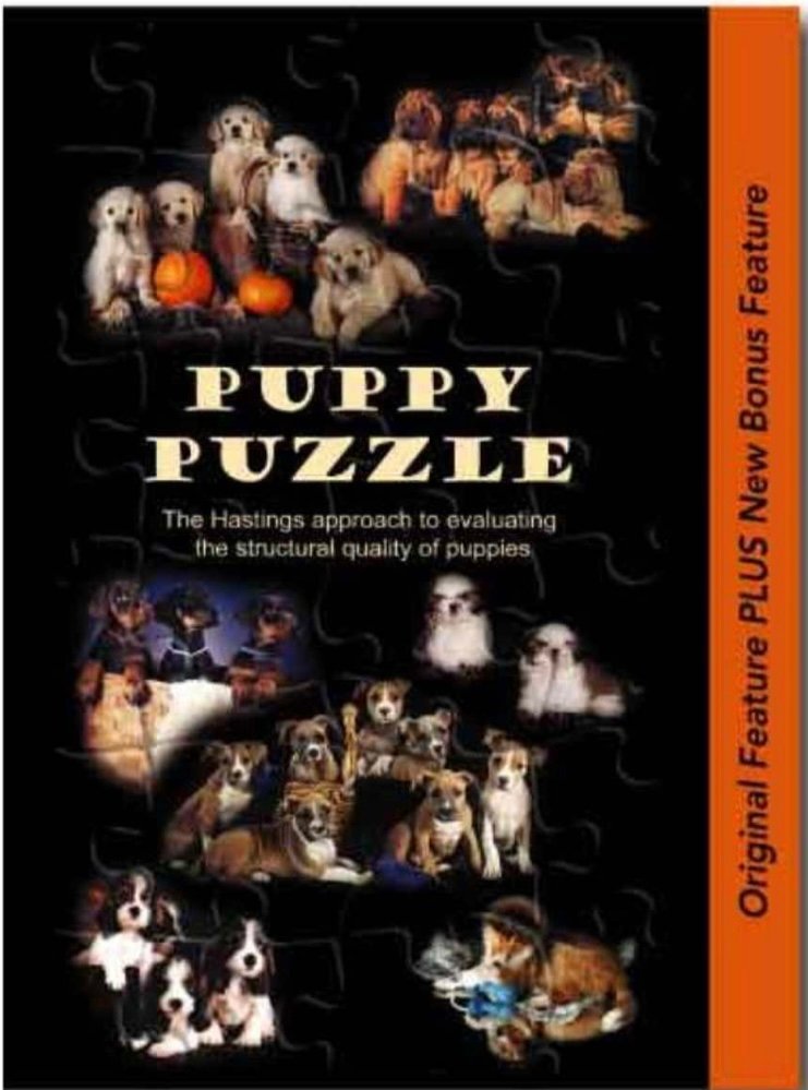 Kvalitetsopdræt af Leonbergere – sådan sikrer vi sunde og trygge hvalpe svg%3E