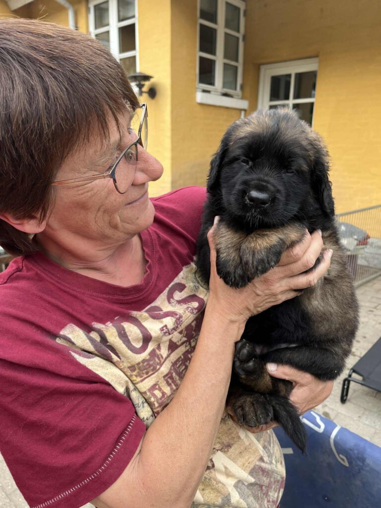 Paprikas hvalpe - Uge #6 svg%3E