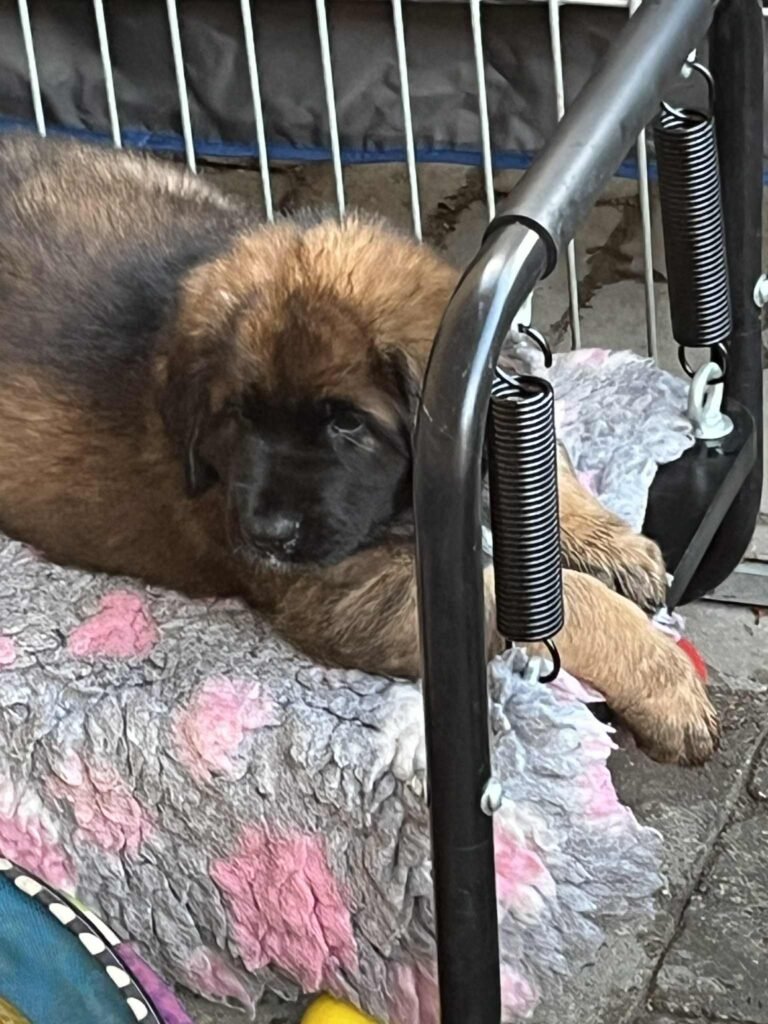 WEEK 8 MS rED 04102025