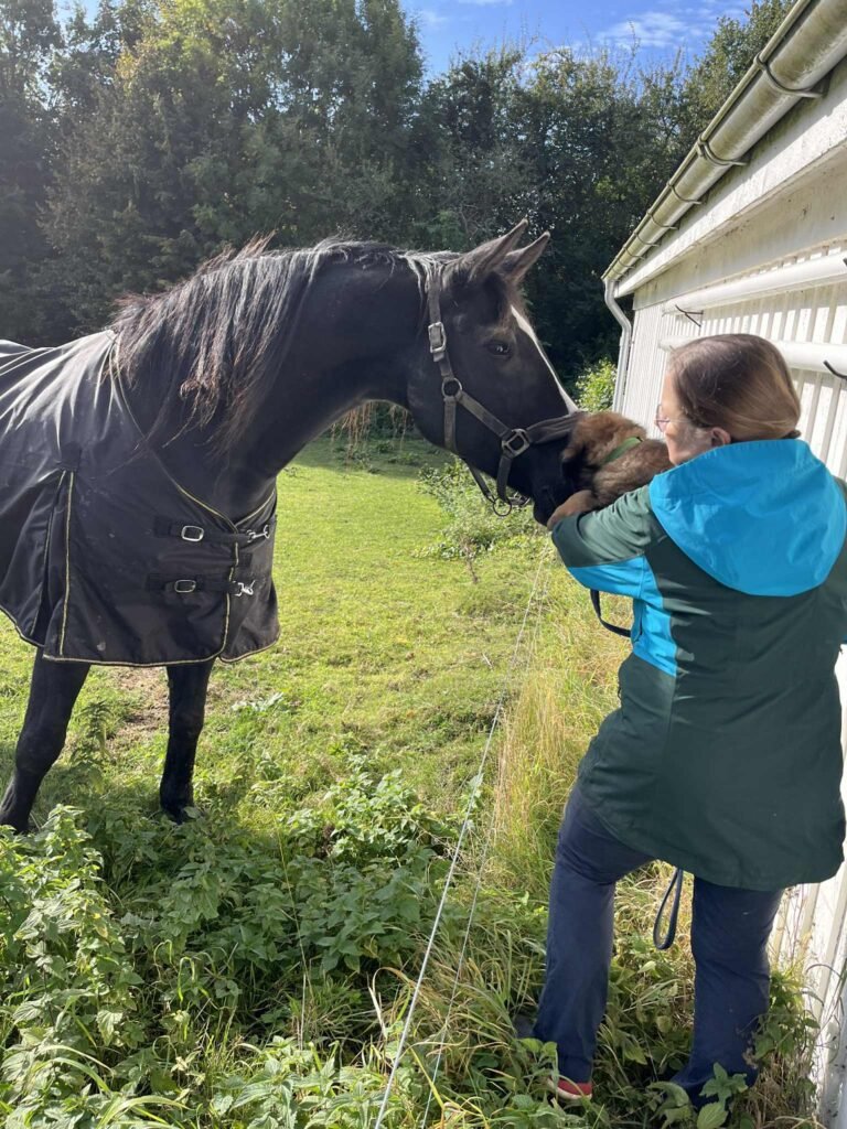 WEEK 8 mR GREEN MOeDER HEST 06102025