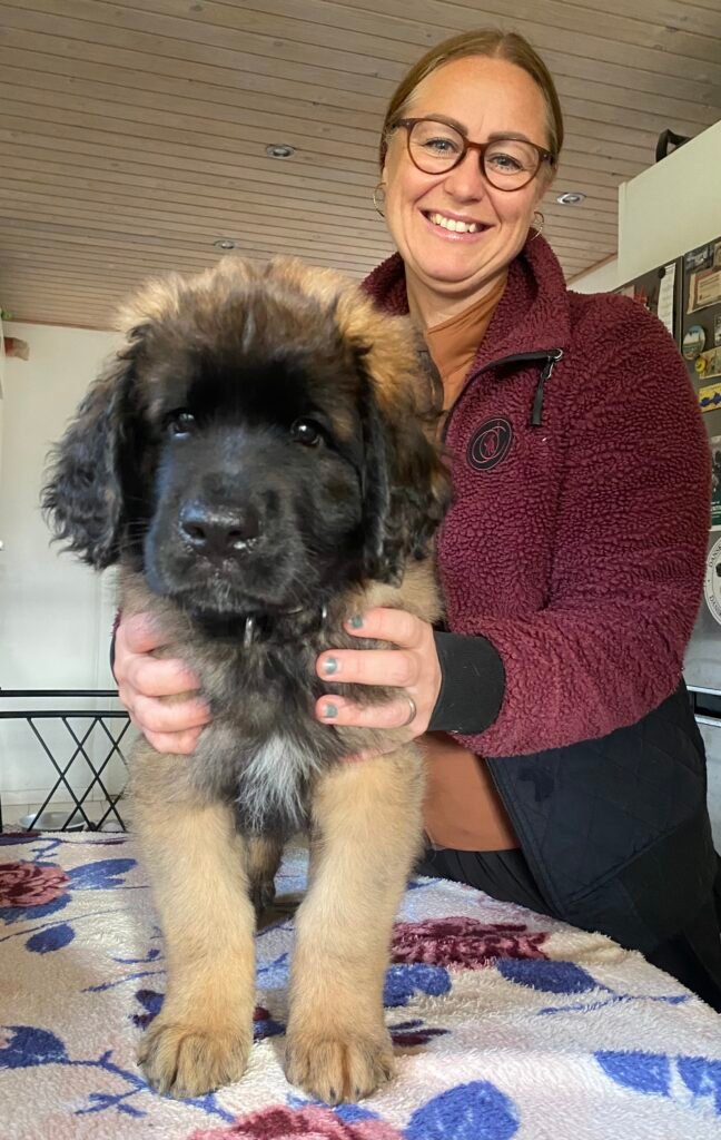 Paprikas hvalpe - Uge #8 Paprikas hvalpe uge 8 - OSTEOPAT BETTINA OG MR BLUE