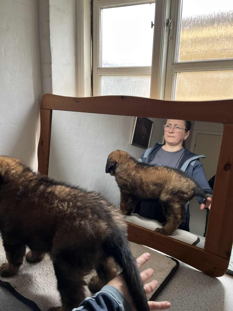 week 8 havlpetest 1 05102025