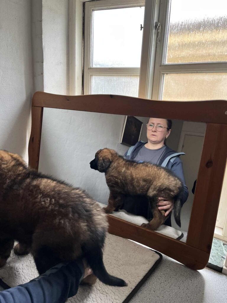 Paprikas hvalpe - Uge #8 svg%3E