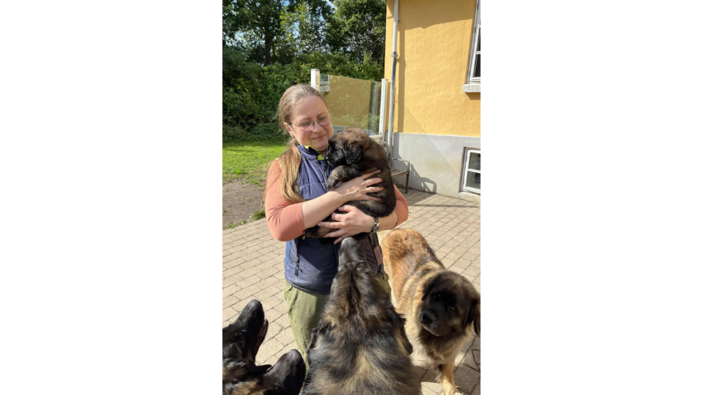 Køberkompasset – vælge hvalpekøbere med ro i maven