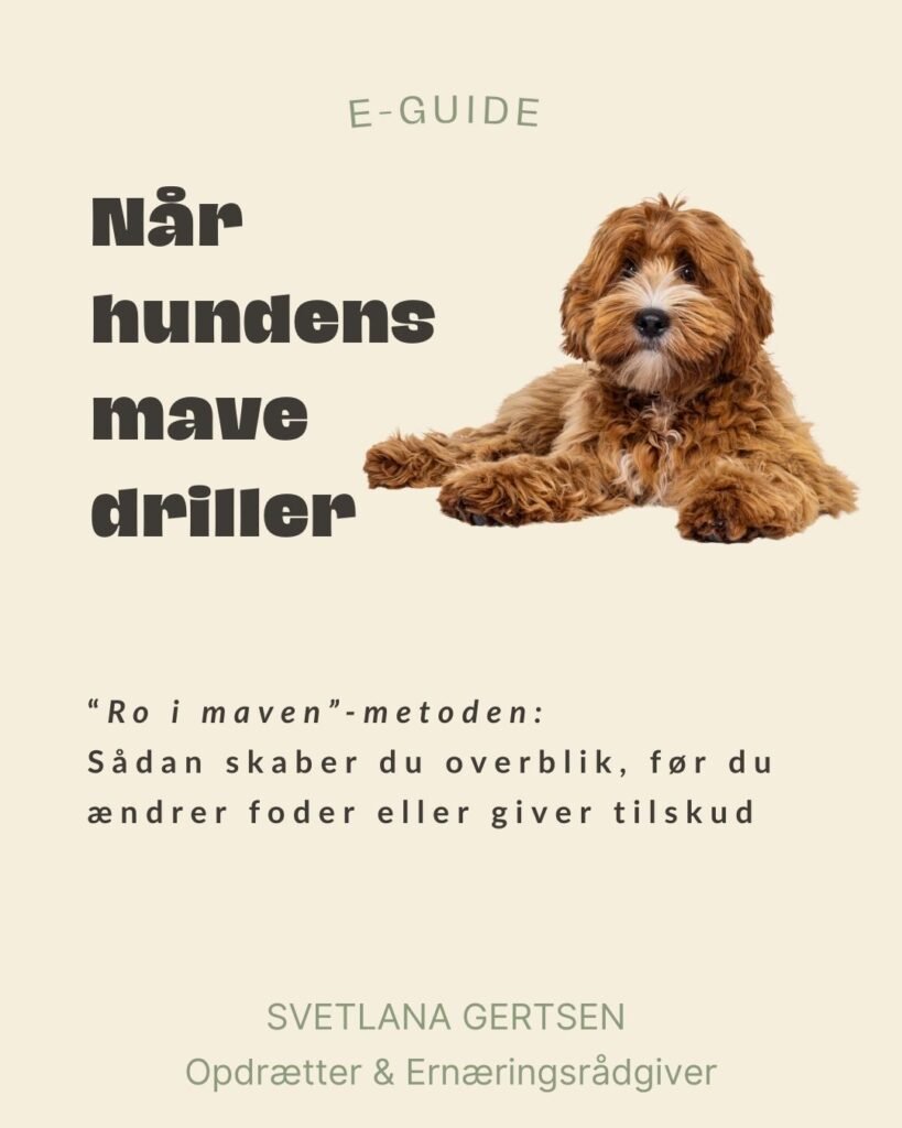 Når hundens mave driller igen Ro i maven metode - for hunde med følsomme maver