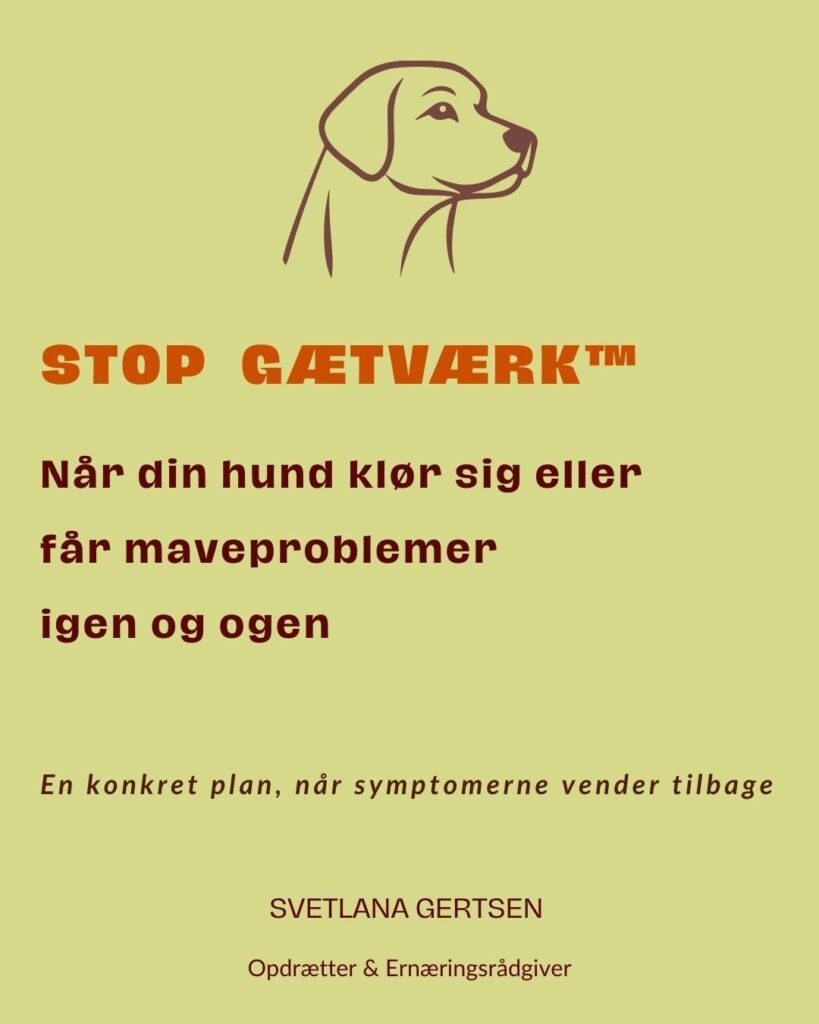 2.Titelside STOP GAeTVAeRK