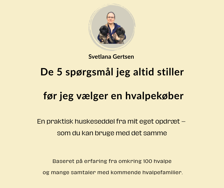 kuldets fortælling - sådan tiltrække du de rigtige hvalpekøbere fra start