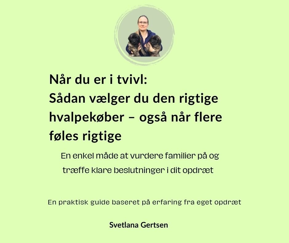 at vælge hvalpefamilie i opdræt