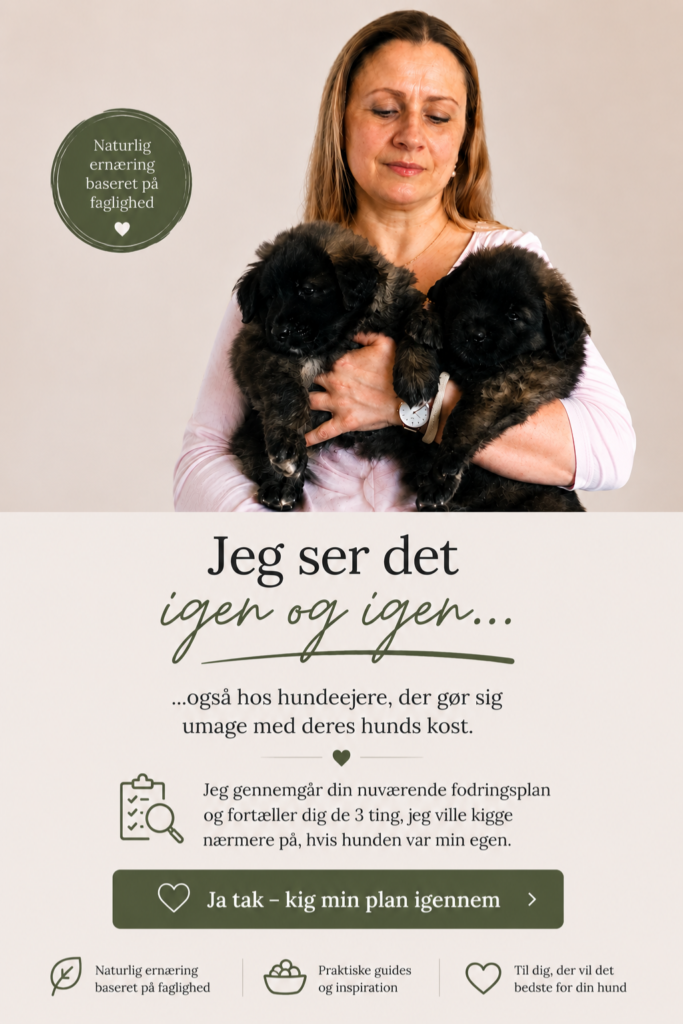 Svetlana Gertsen -gennemgang af foderplan juni 2026