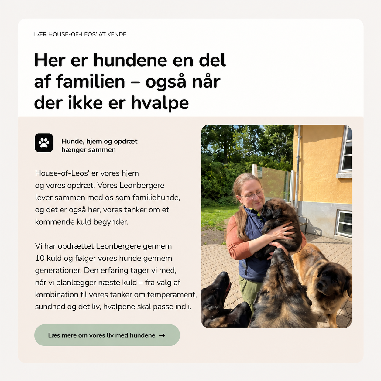 LP /P1/ SALGSSIDE –HVALPE-PLAN/ De rigtige hvalpekøbere til dit næste kuld Udsnit til brug for slagsside P1 18092026